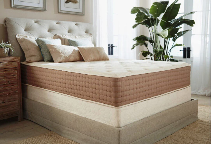 Eco Terra Bed
