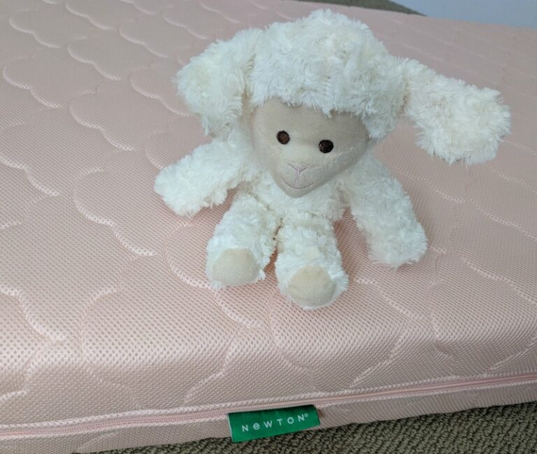 Is the Newton Crib Mattress Worth It? Breathable Baby Mattress Reviewed