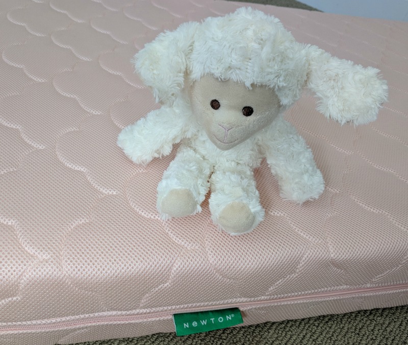 newton baby crib mattress cover