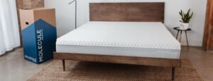 Molecule Mattress