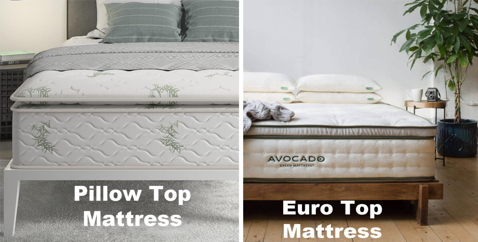 pillow top bed in a box mattress vs euro top