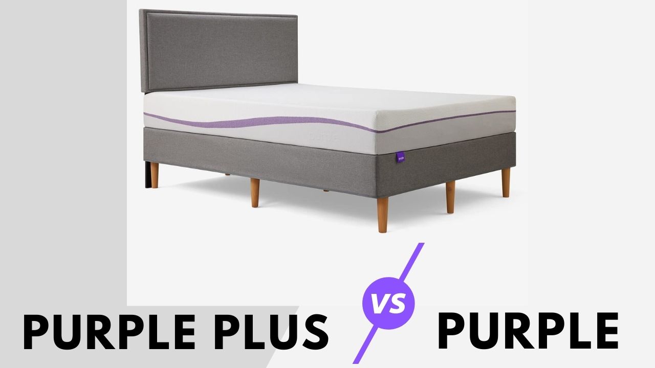 Purple plus vs purple